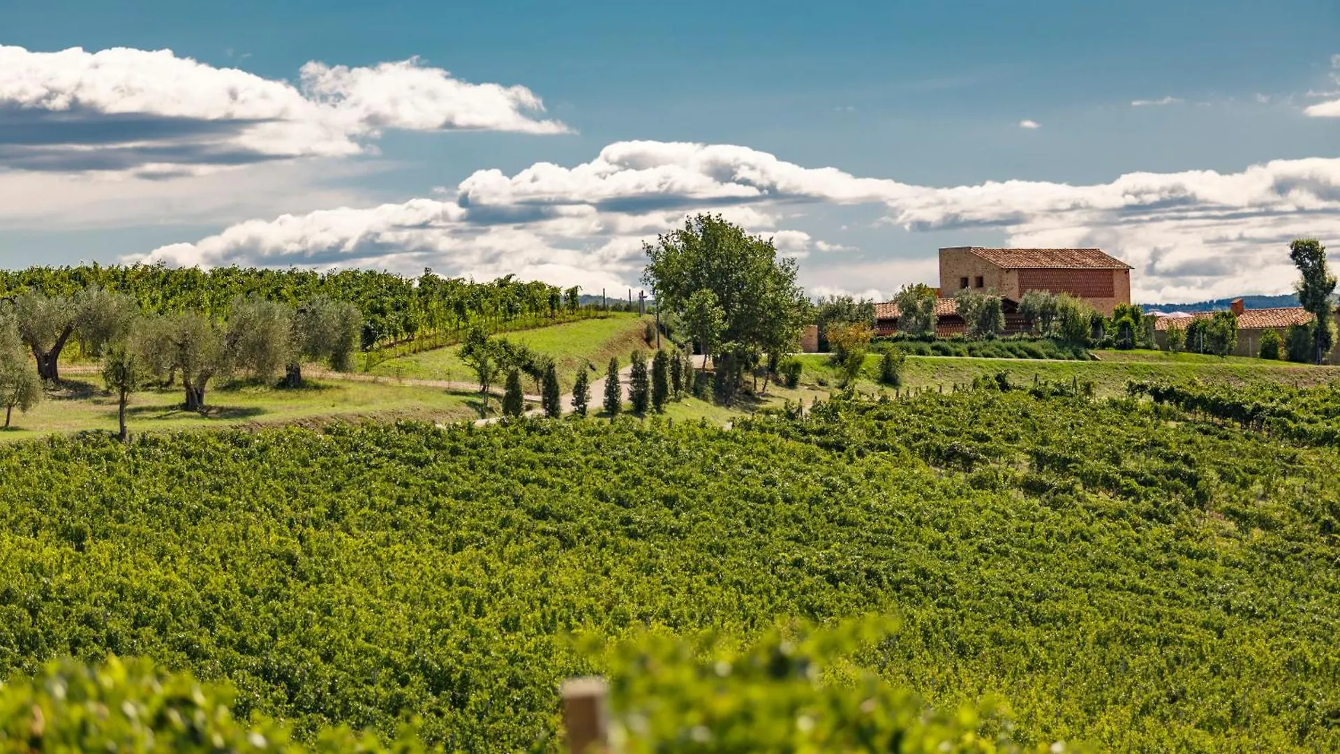 Séjour à la ferme Tenuta Di Montecucco - Collemassari Hospitality Cinigiano