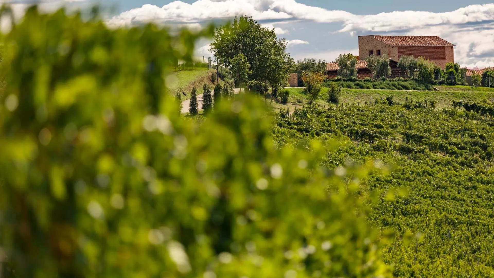 Tenuta Di Montecucco - Collemassari Hospitality Cinigiano 0*,  Italie