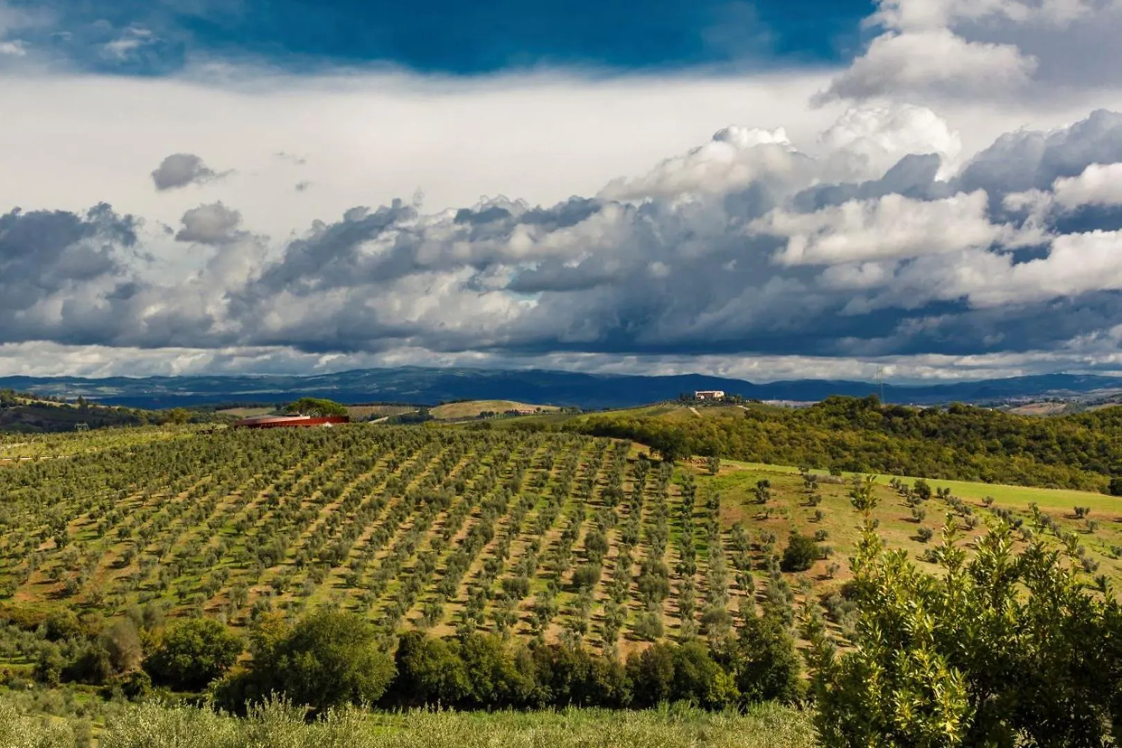팜스테이 Tenuta Di Montecucco - Collemassari Hospitality 신기아노